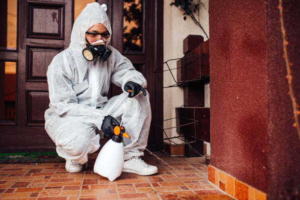 Reliable Cockroach Control contractor in Novato, CA by Nex Pest Control